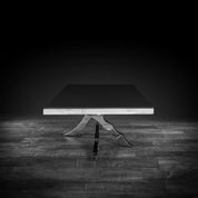 albero rectangular silver luxury coffee table