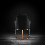 andria rgss black modern 2 dining chair
