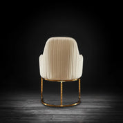 andria tgss beige modern 2 dining chair