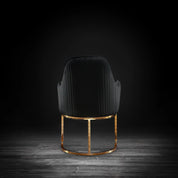 andria tgss black modern 2 dining chair