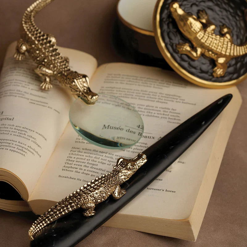 life_crocodile_06_800x_b27b2908-7922-40f0-899b-4945da34596d.webp