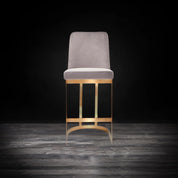 mariella brtgss gray modern 1 counter stool